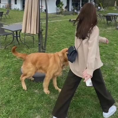超能小怪兽：新班级